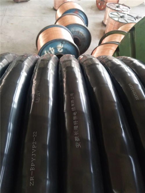 探索慈溪長峰特種電纜 橡套電纜領(lǐng)域的專業(yè)制造力量